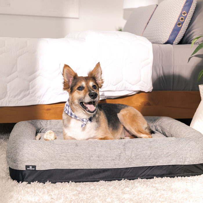 Performance - Small Dog Bed - Gray