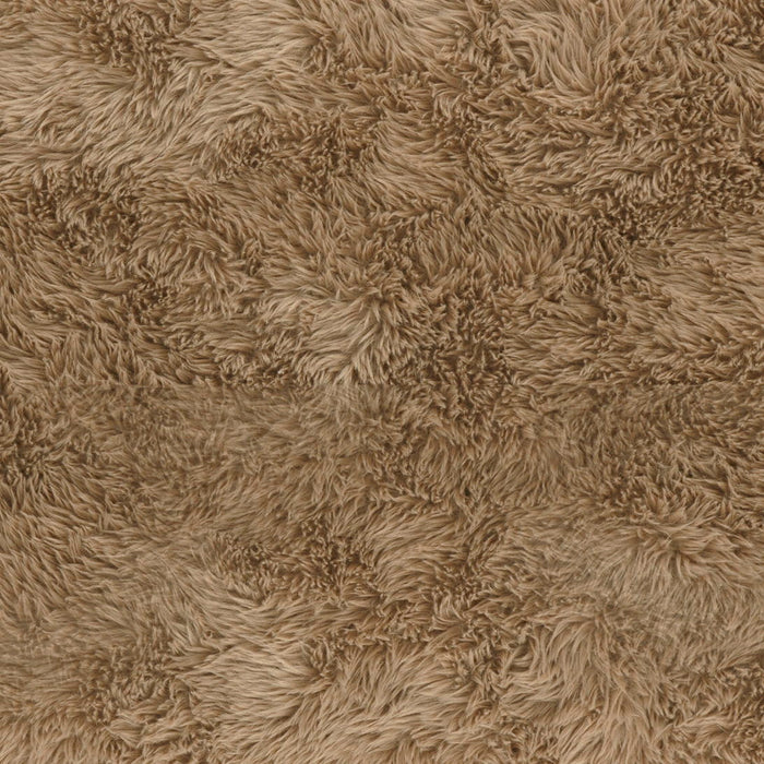 Ollie - Straight Bench