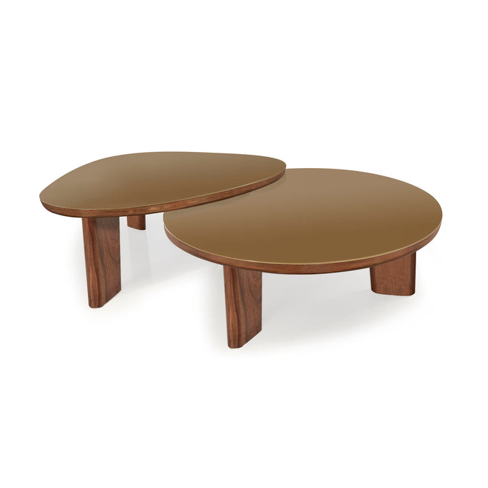 Oani - Triangular Coffee Table - Natural