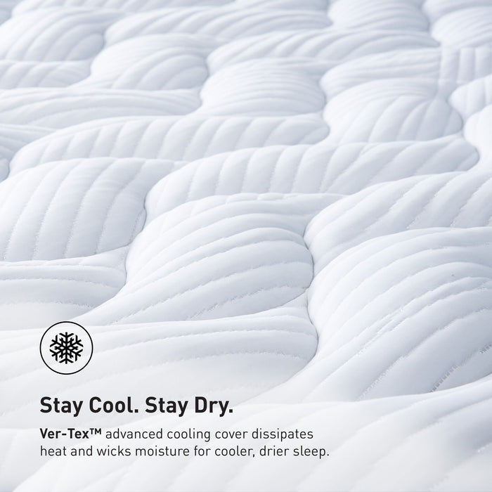 Essential - Sheet Set